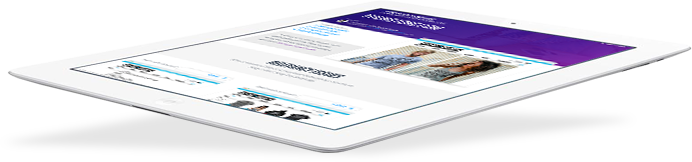 Site Search Report